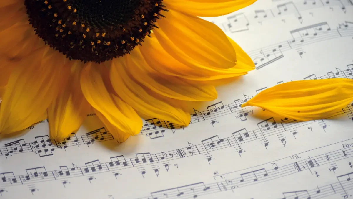 Partitura de músicas tradicionais de Natal com enfeites natalinos ao fundo.