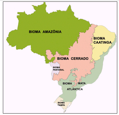 Mapa do Brasil Biomas